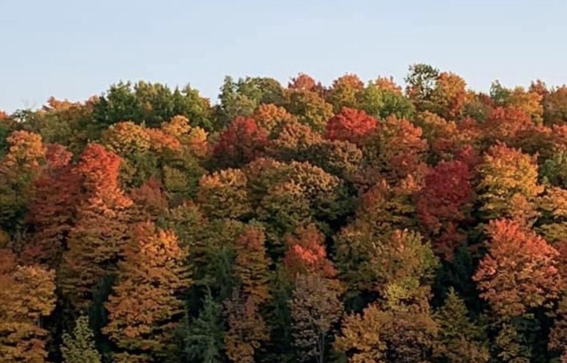 Photo of Others in Deer River