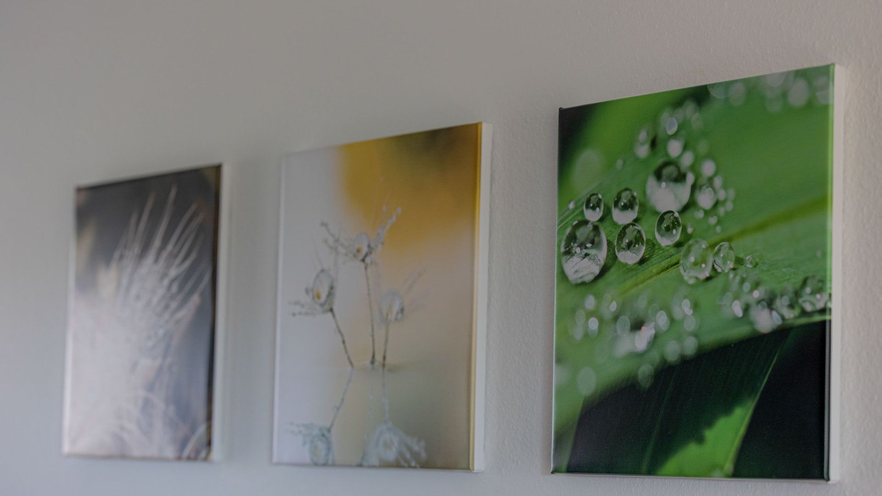 Photo of Others in La Petite-Pierre