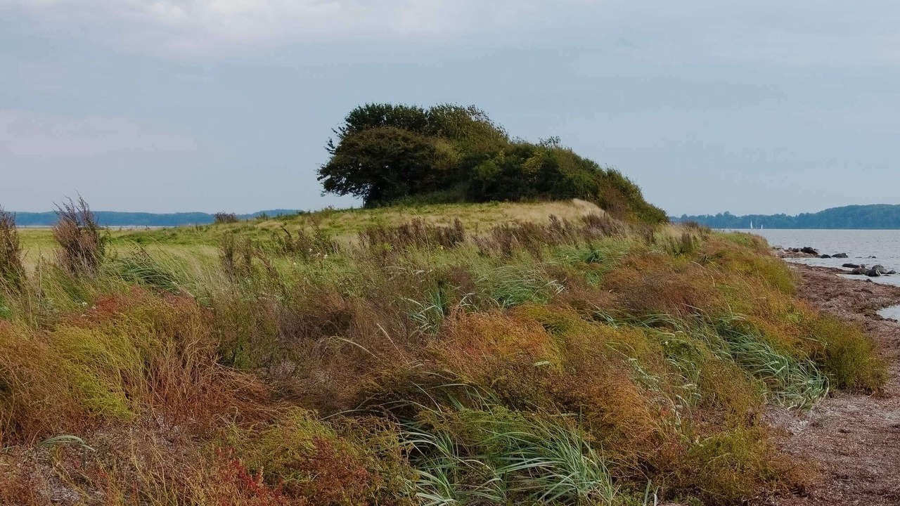 Photo of Others in Rendbjerg