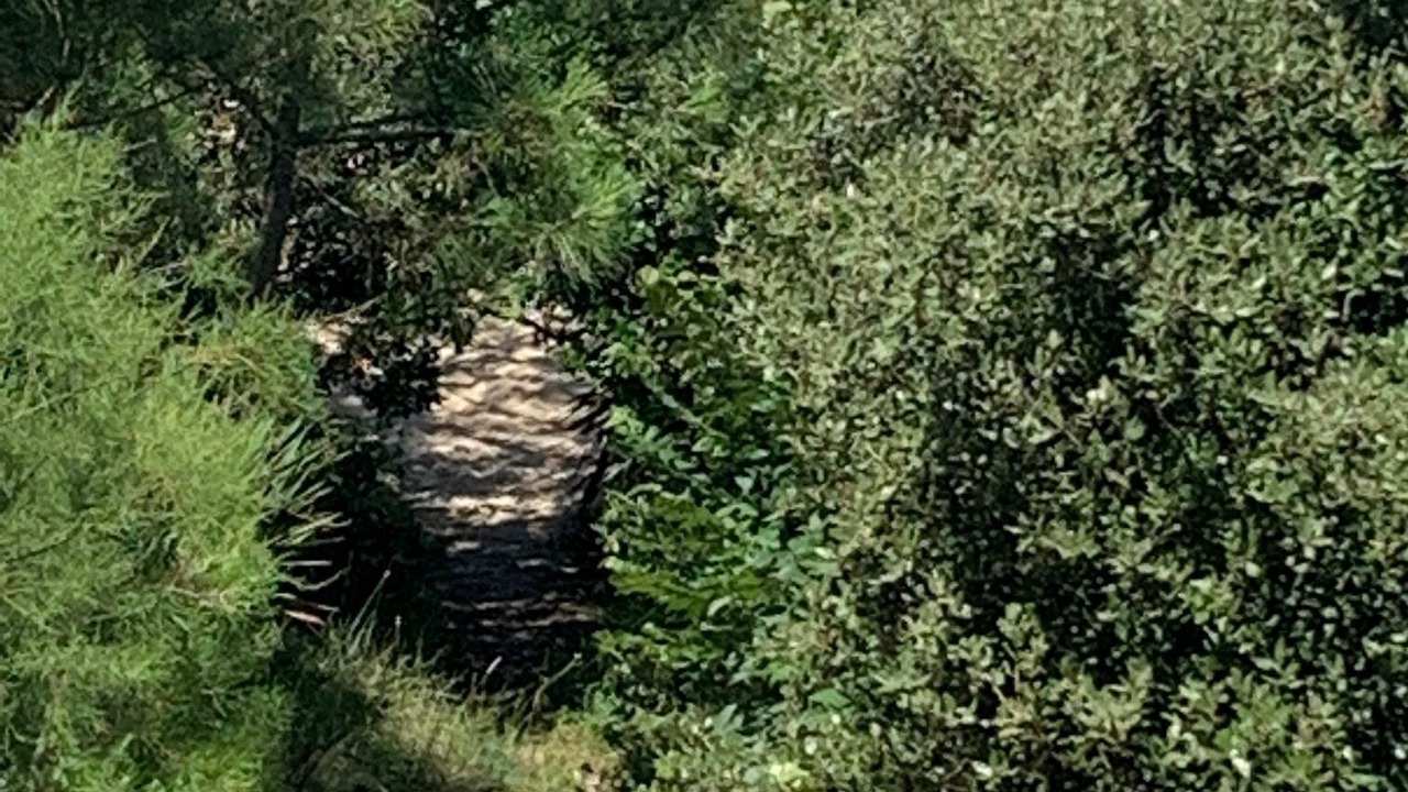 Photo of Outdoor in Soulac-sur-Mer