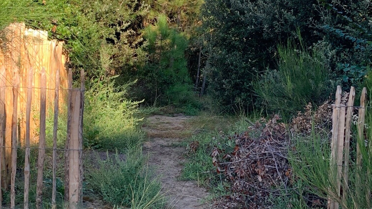 Photo of Outdoor in Soulac-sur-Mer