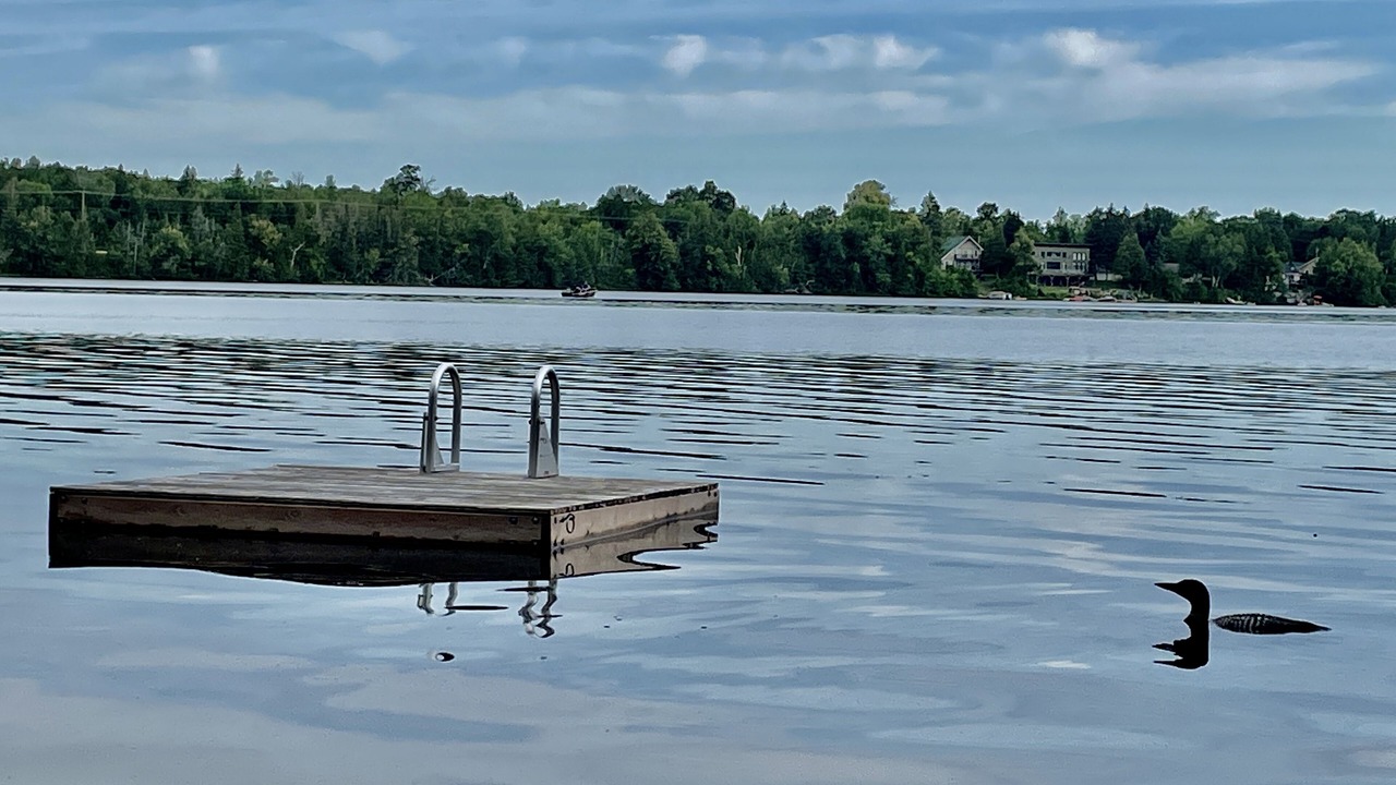Photo of Outdoor in Head Lake