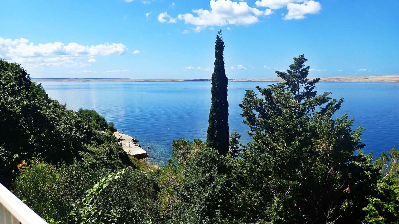 Photo of Others in Baric Draga
