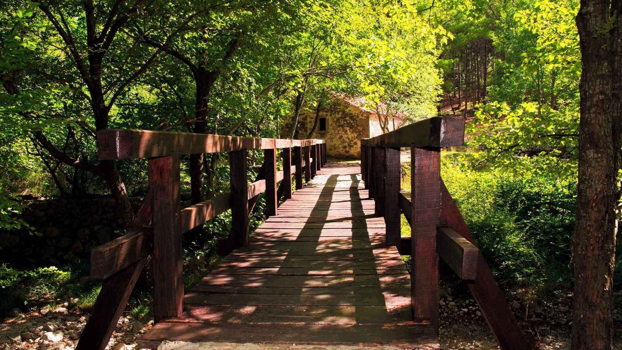 Photo of Outdoor in Baric Draga