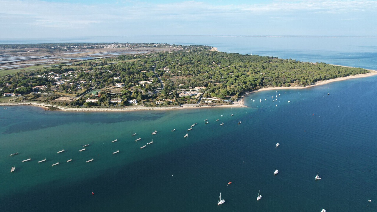 Photo of Outdoor in Rivedoux-Plage