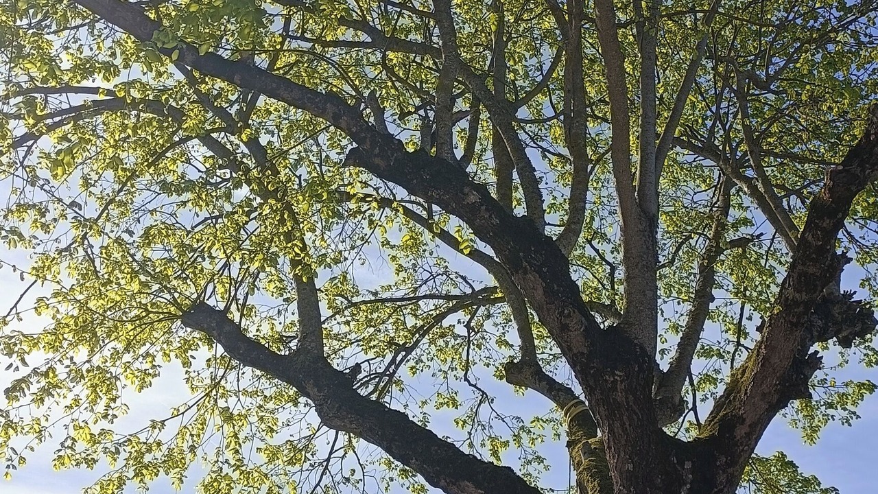 Photo of Outdoor in Montech