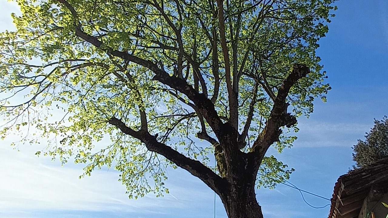 Photo of Outdoor in Montech