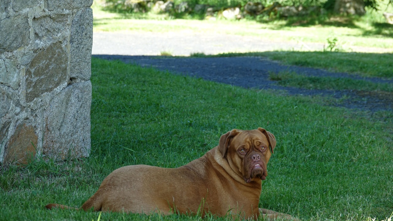 Photo of Outdoor in Bonneval