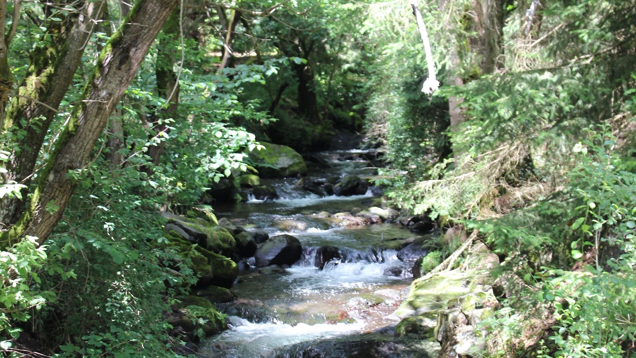 Photo of Outdoor in Bonneval