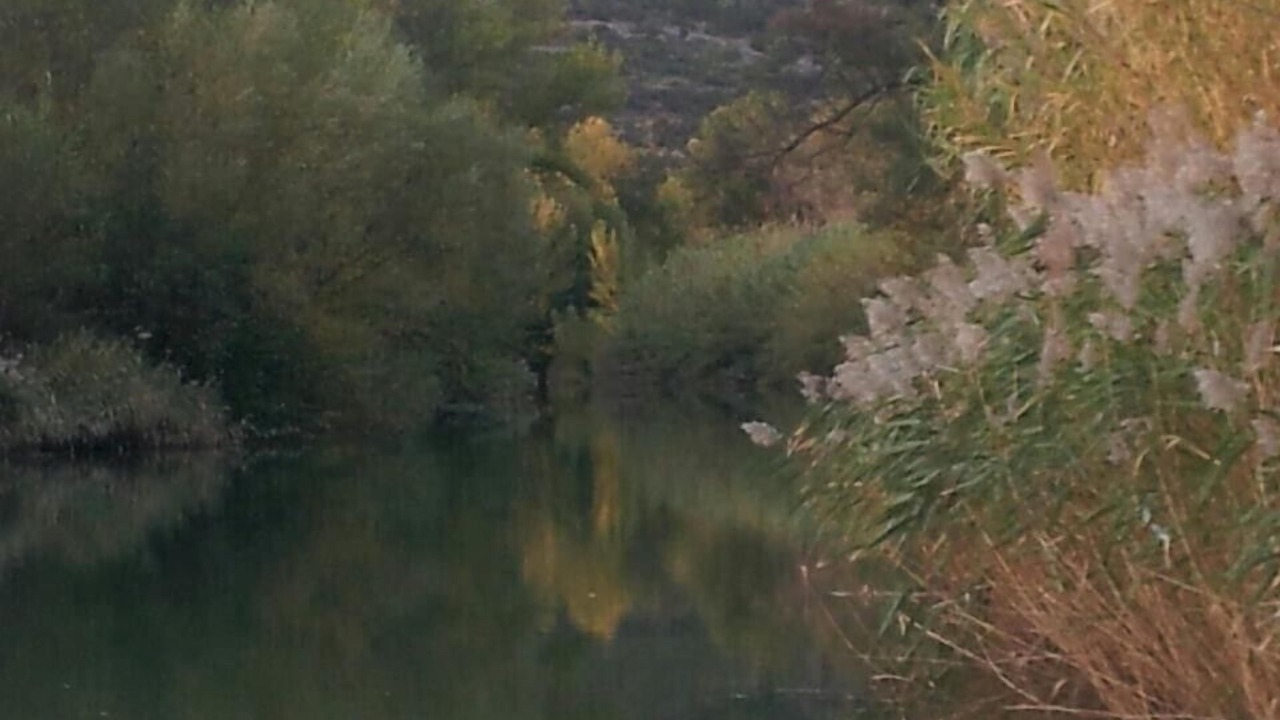 Photo of Others in Tautavel