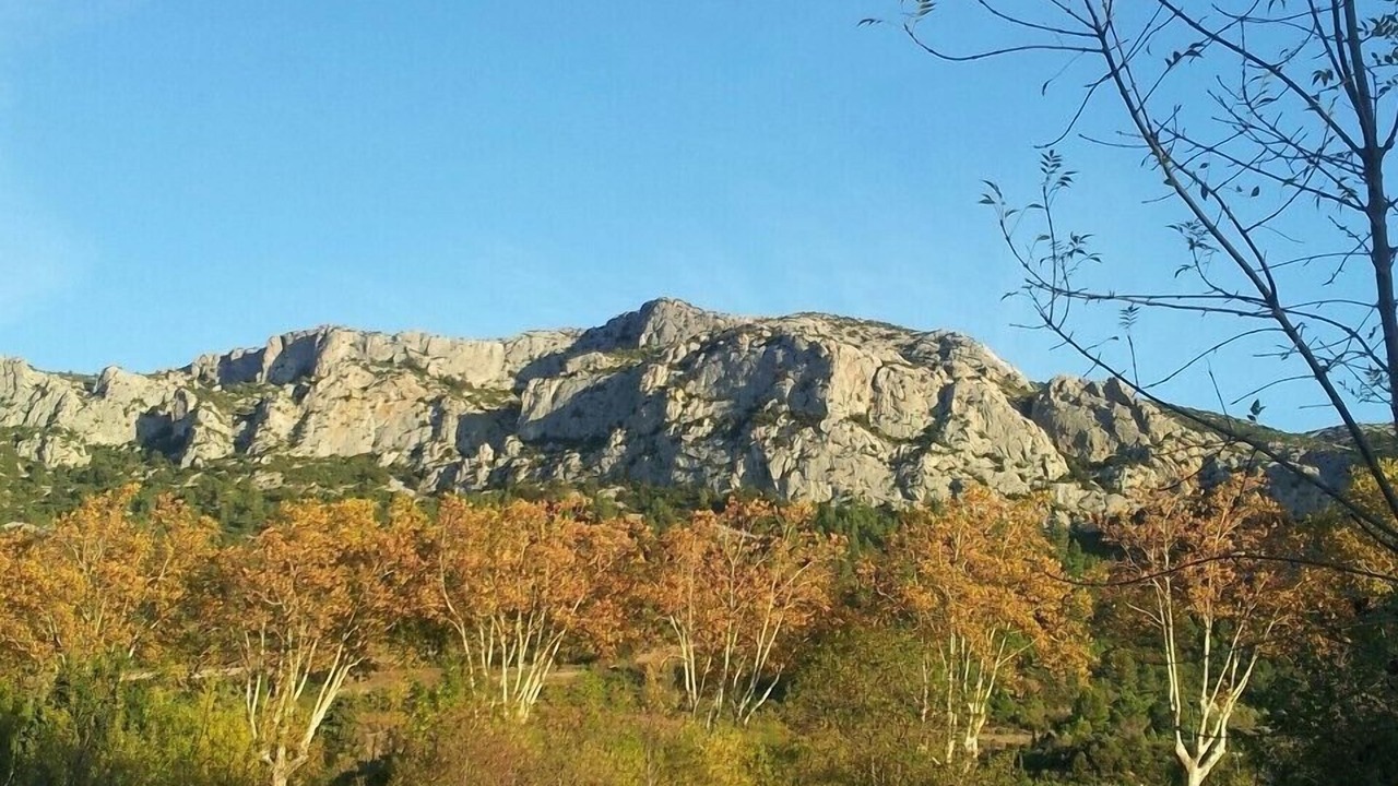 Photo of Others in Tautavel