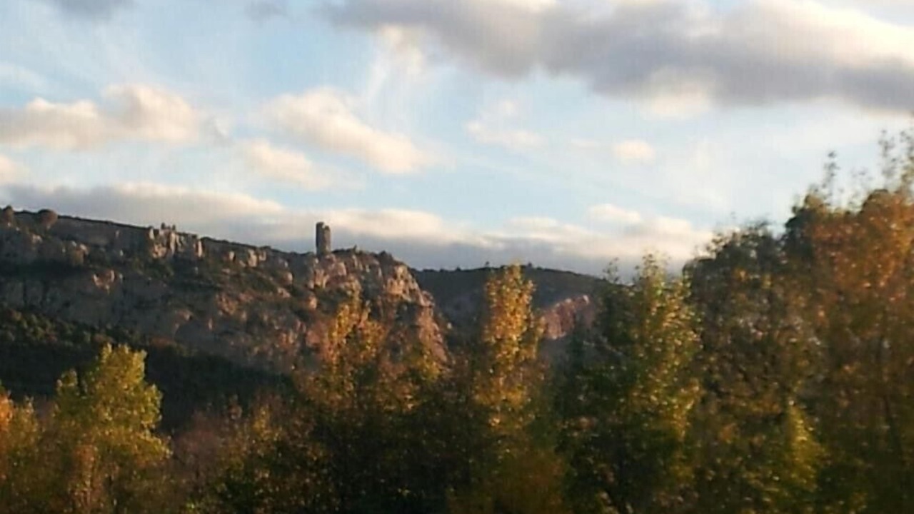 Photo of Others in Tautavel