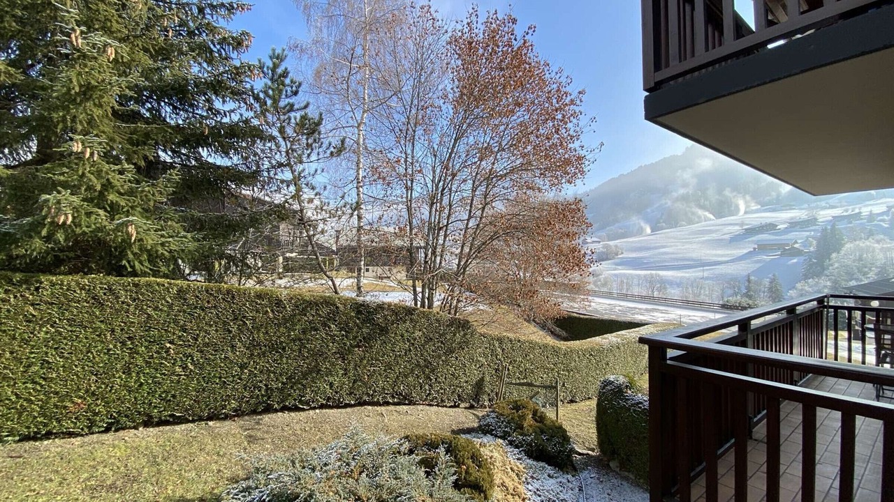 Photo of Outdoor in Praz-sur-Arly