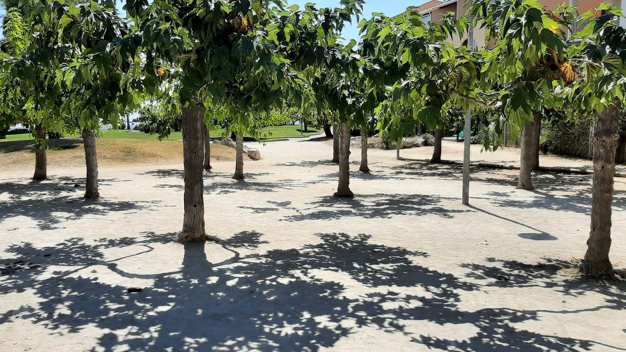 Photo of Outdoor in Miramar