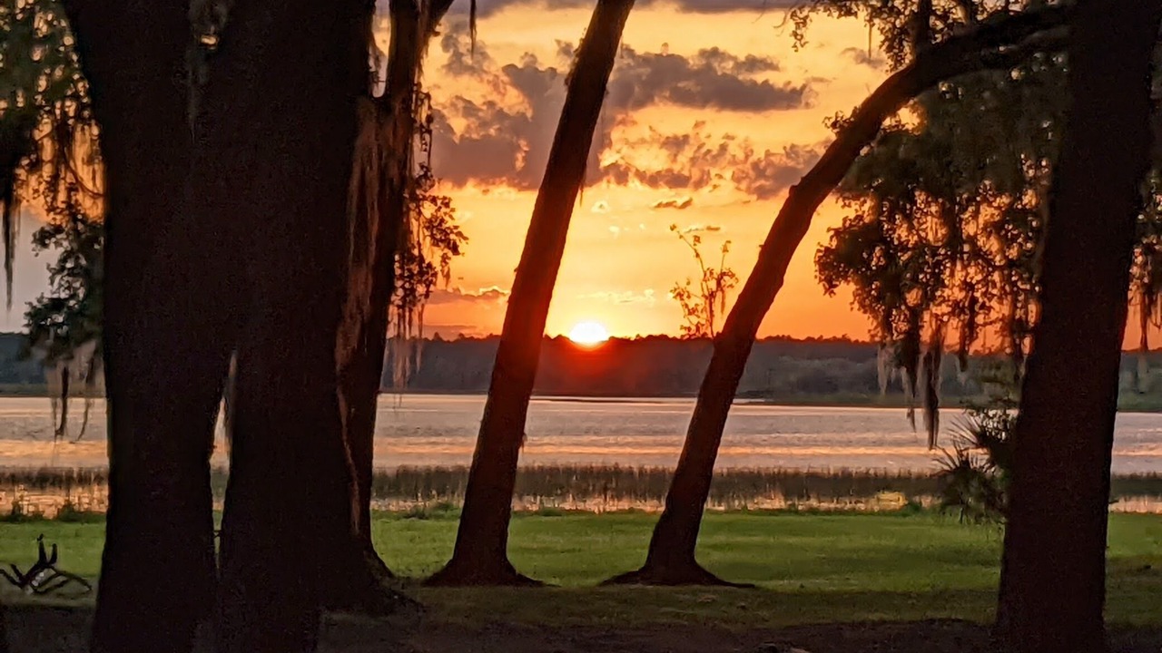 Photo of Outdoor in Salt Springs