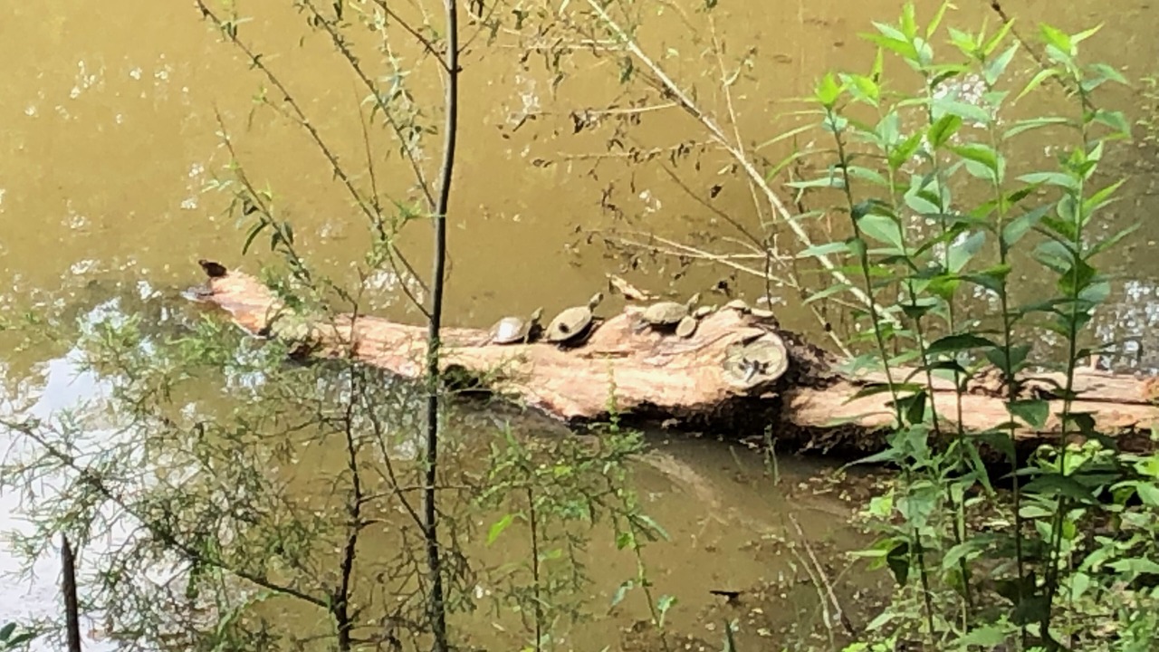 Photo of Others in Gordonville