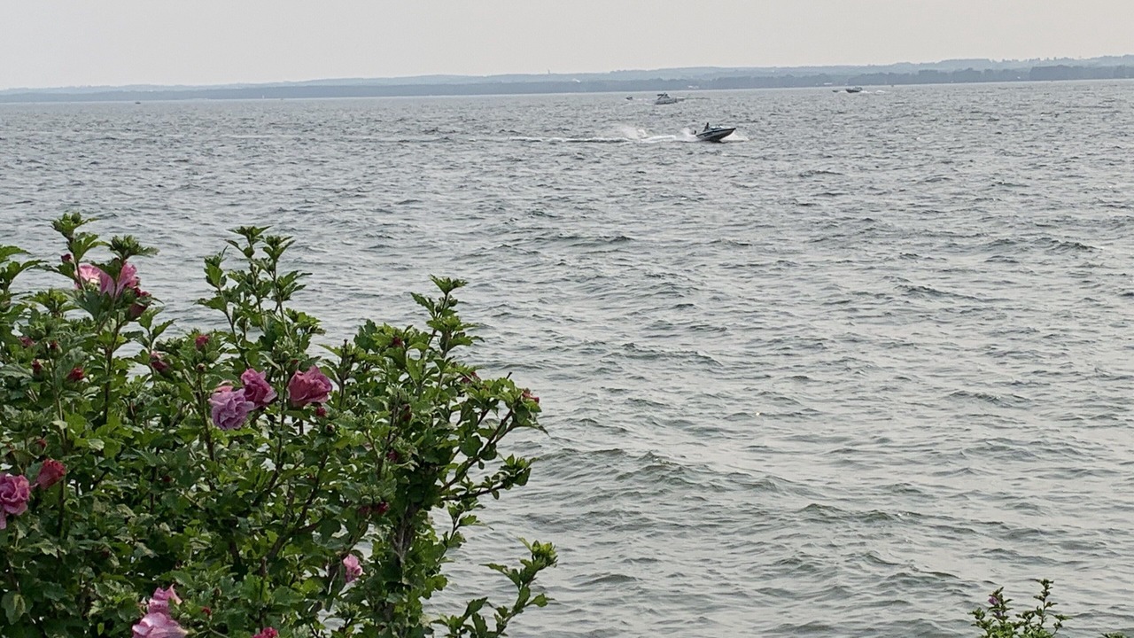 Photo of Others in Georgina