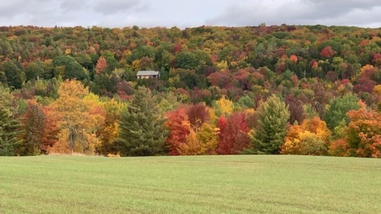 Photo of Others in Rawsonville