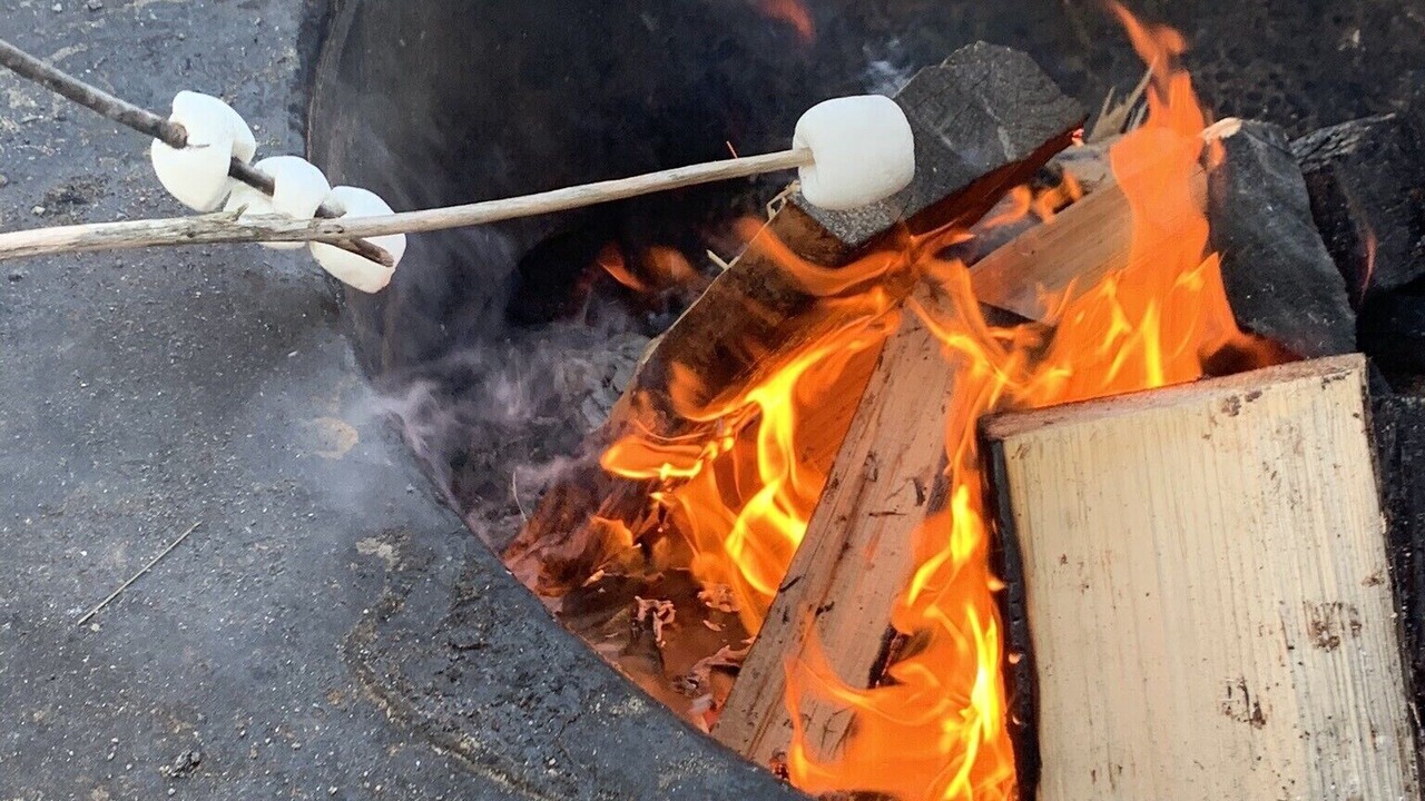Photo of Livingroom in Rawsonville