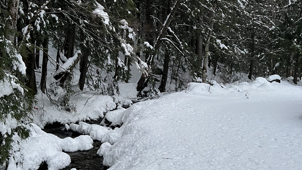 Photo of Outdoor in Rawsonville