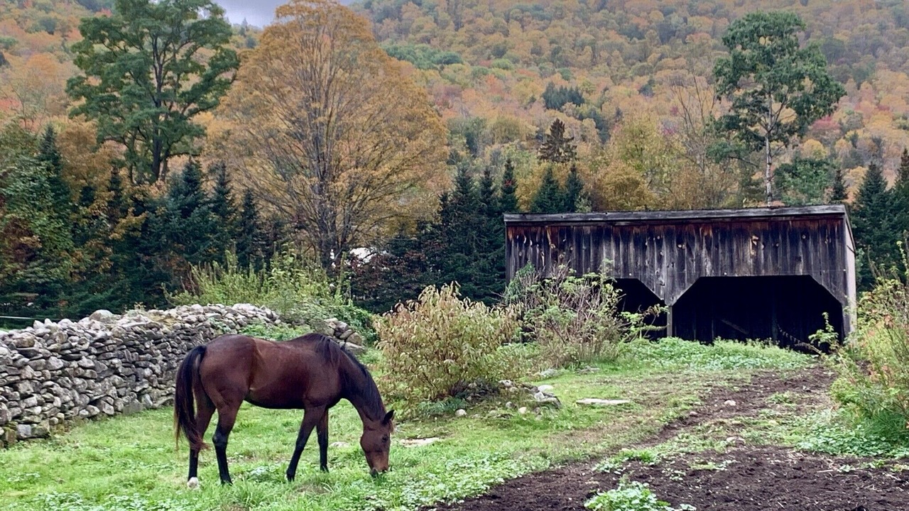 Photo of Others in Rawsonville