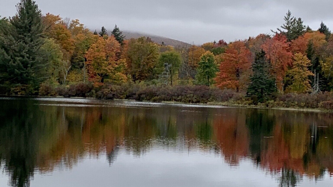 Photo of Others in Rawsonville