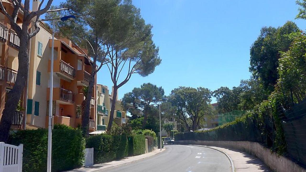 Photo of Others in Cavaliere