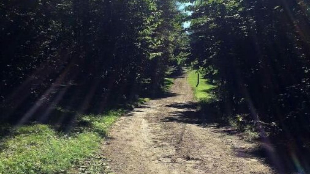 Photo of Outdoor in Woolwine