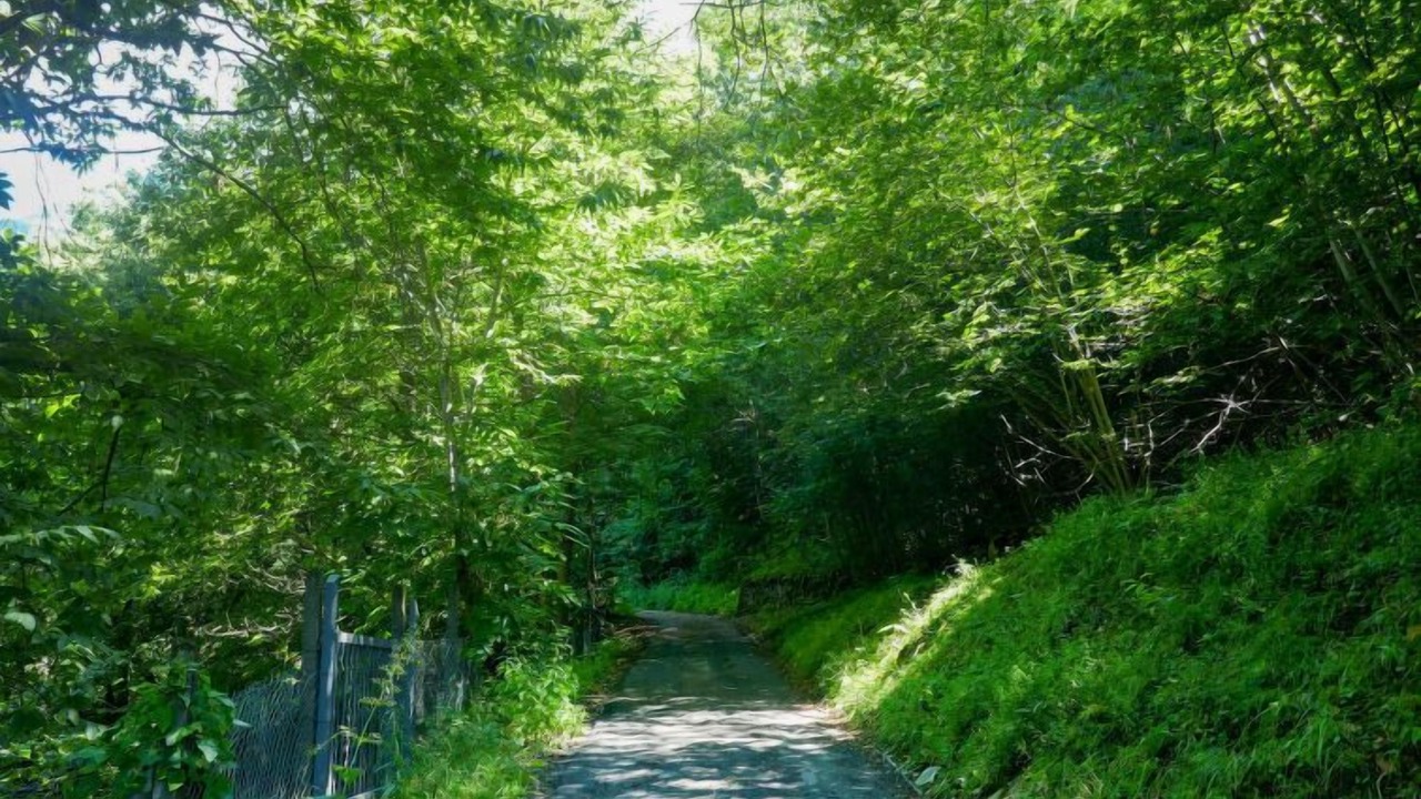 Photo of Outdoor in Malvaglia-dagro