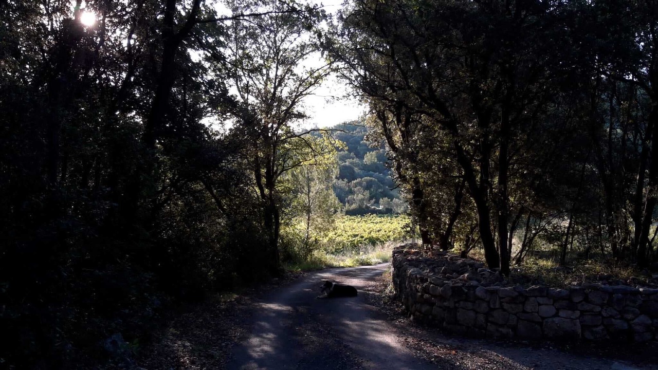 Photo of Outdoor in Sommieres