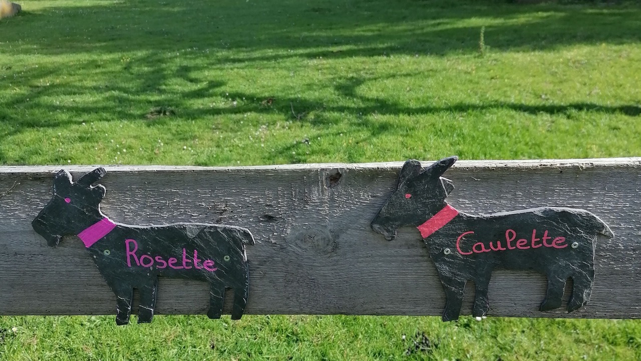 Photo of Outdoor in Saint-Martin-le-Gaillard