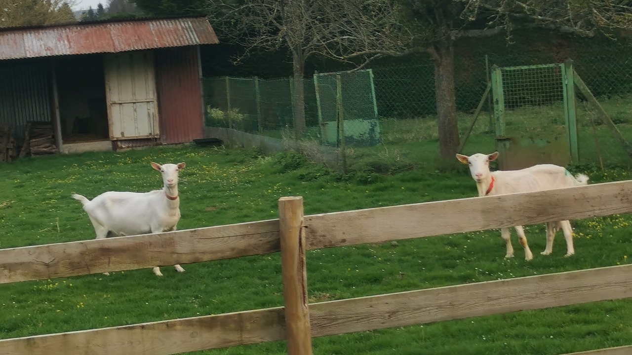 Photo of Outdoor in Saint-Martin-le-Gaillard