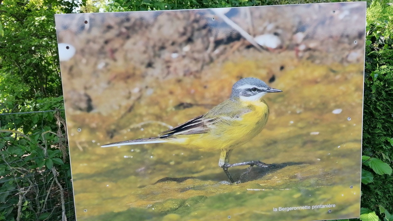 Photo of Outdoor in Saint-Martin-le-Gaillard