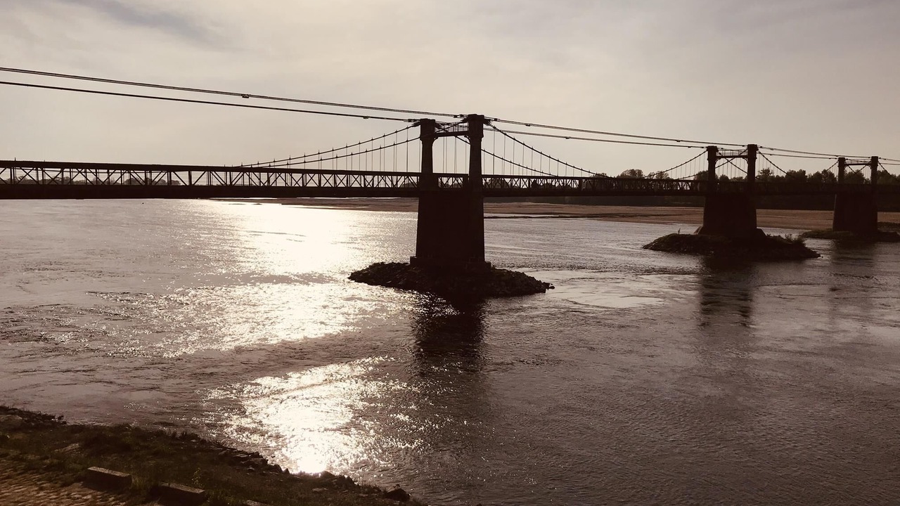 Photo of Others in Ingrandes-Le Fresne sur Loire