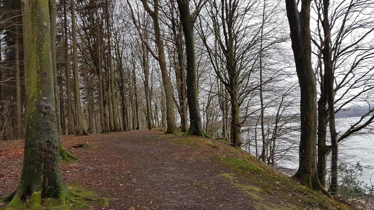 Photo of Others in Aabenraa