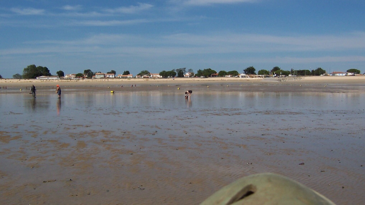 Photo of Others in Saint-Martin-des-Fontaines