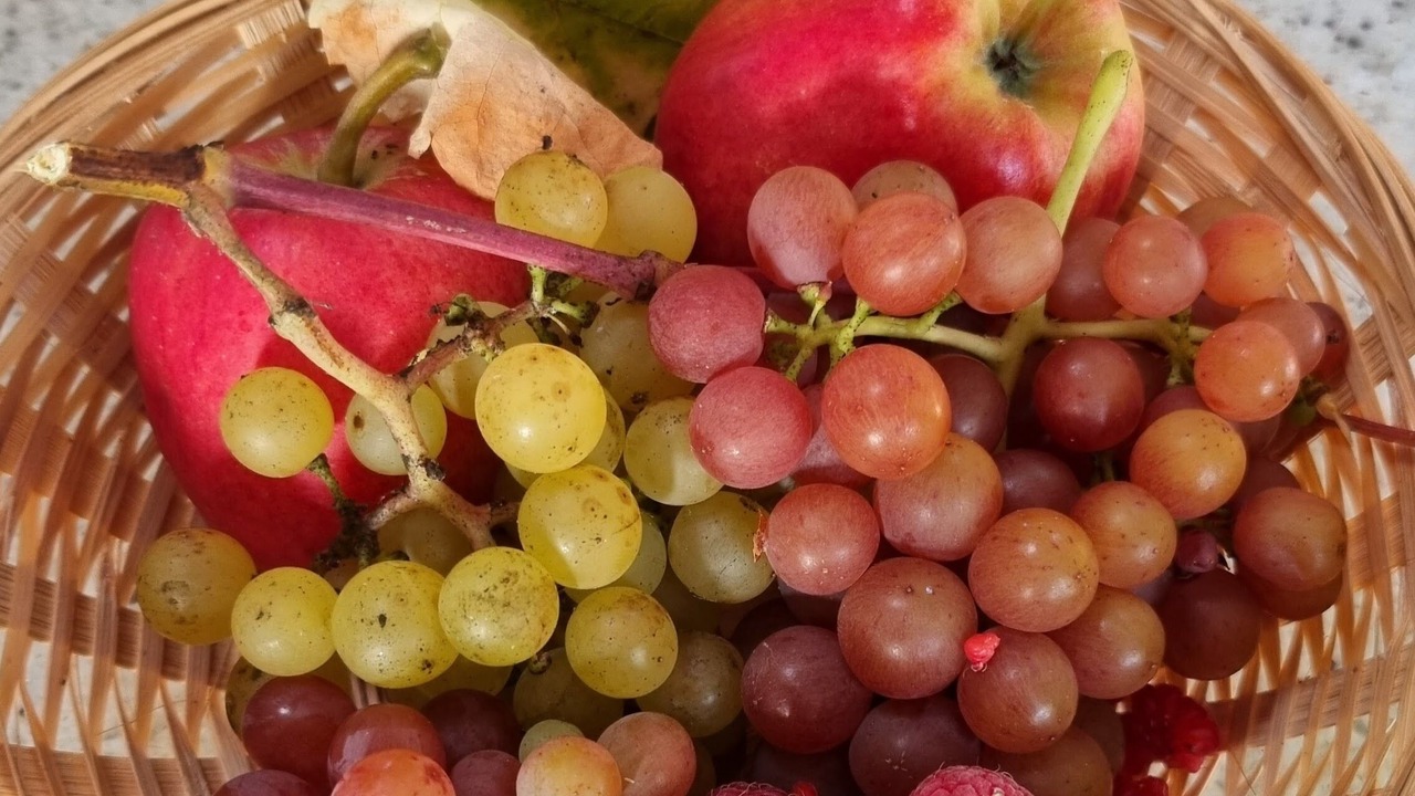 Photo of Outdoor in Langton Green