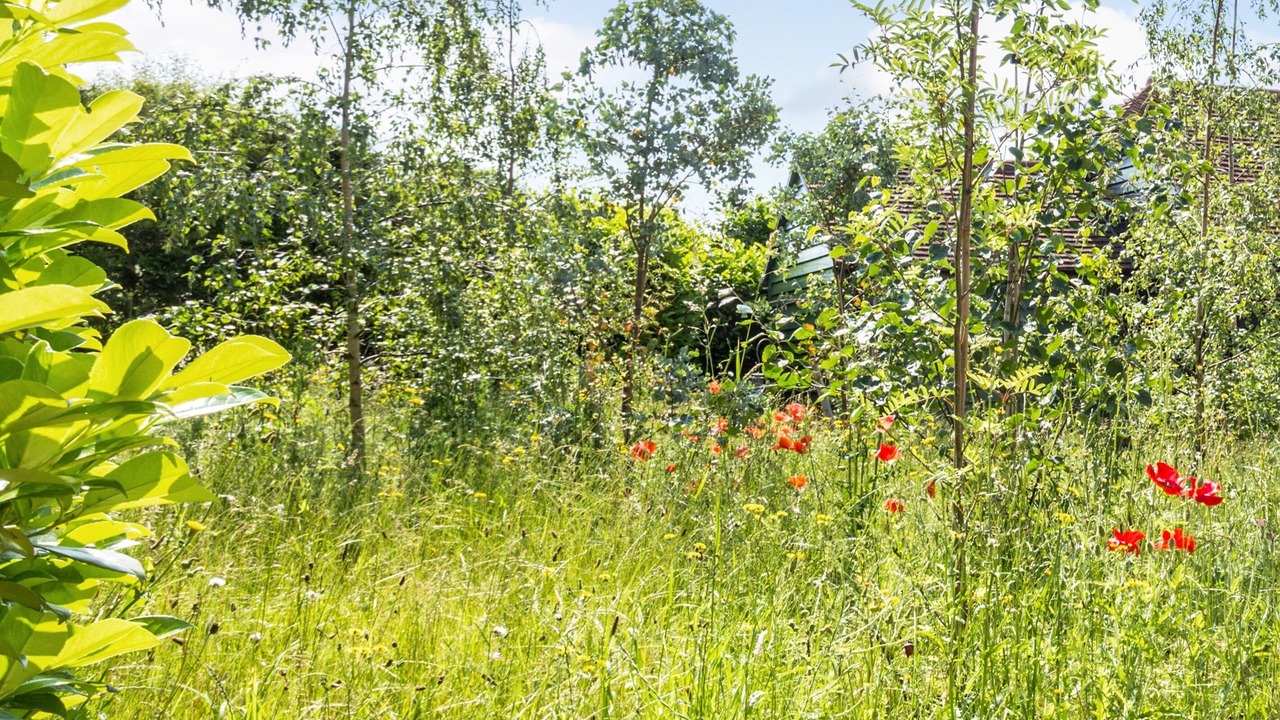 Photo of Outdoor in Langton Green