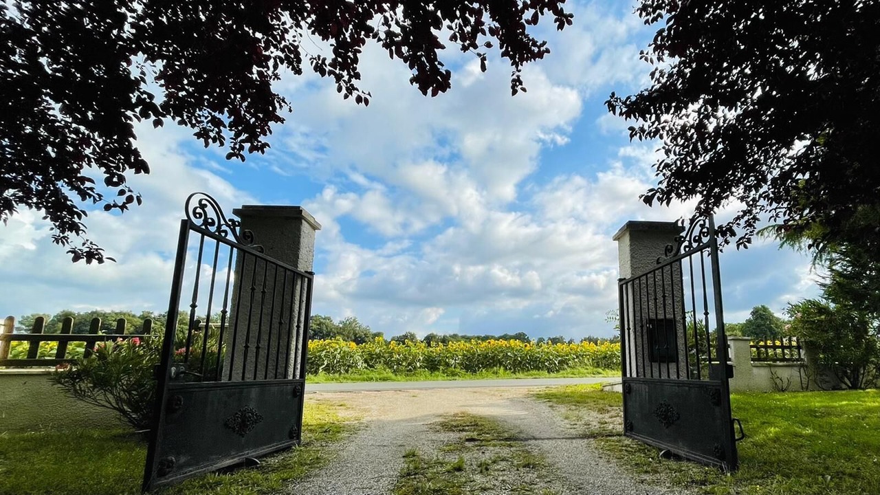 Photo of Outdoor in Roumagne