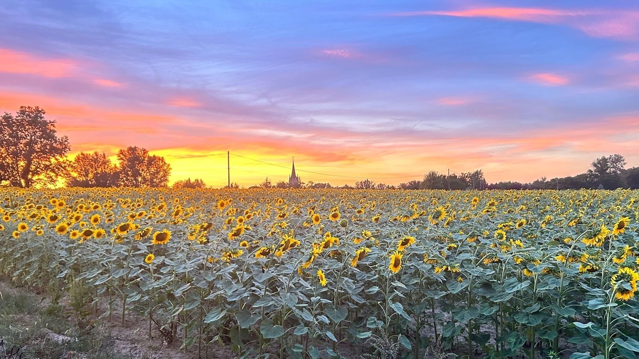 Photo of Bedroom in Roumagne