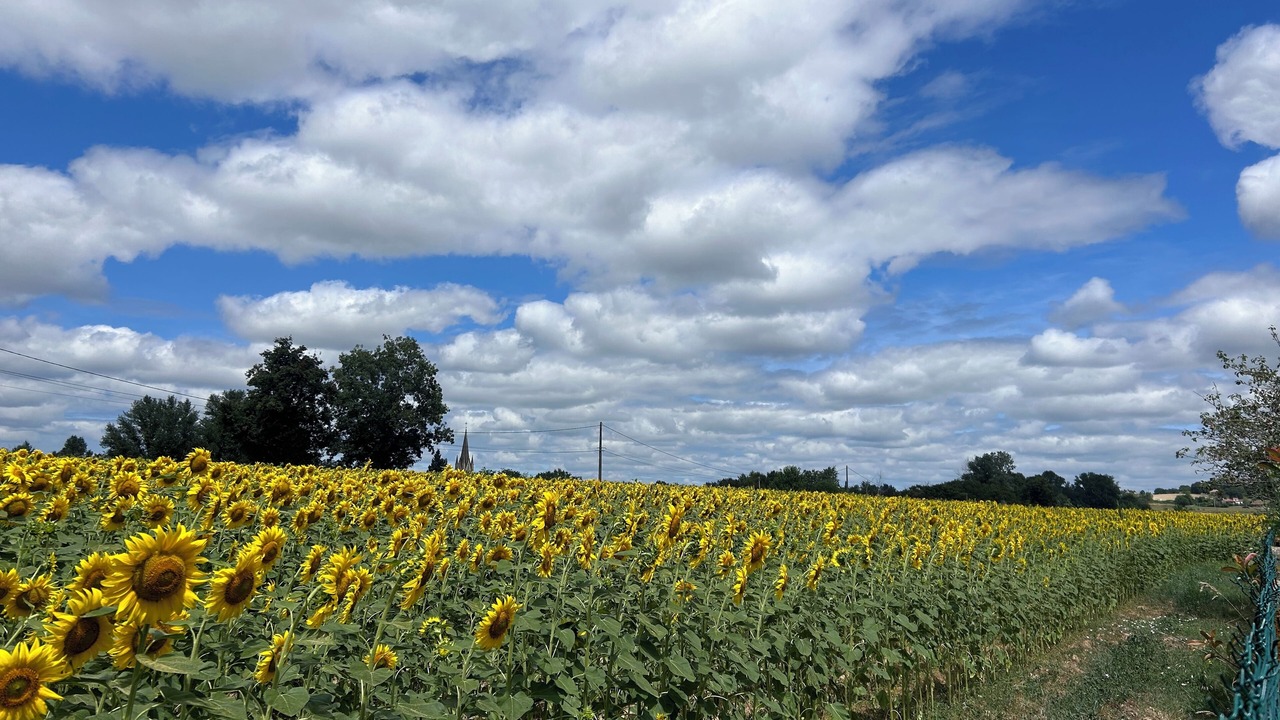 Photo of Others in Roumagne