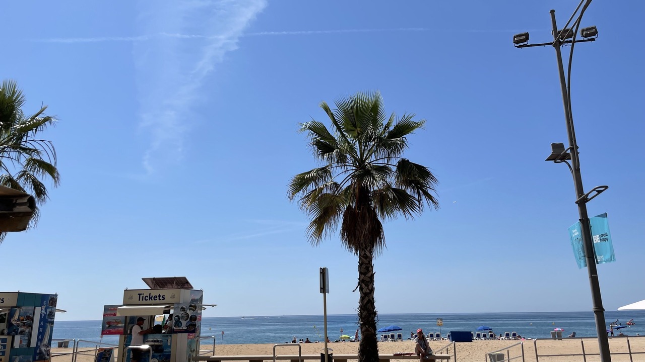Photo of Others in Lloret Town Center