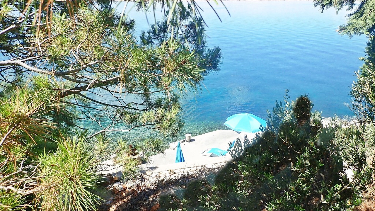 Photo of Outdoor in Baric Draga