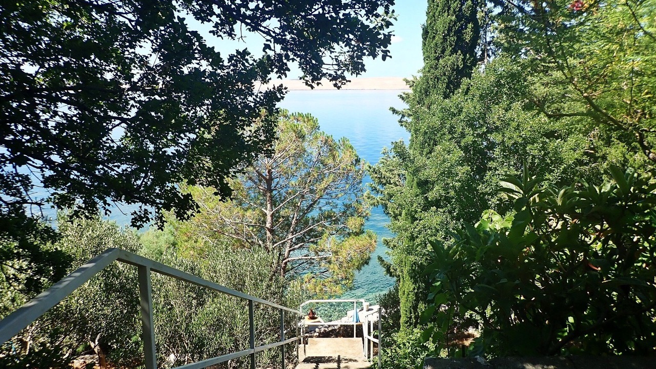 Photo of Outdoor in Baric Draga