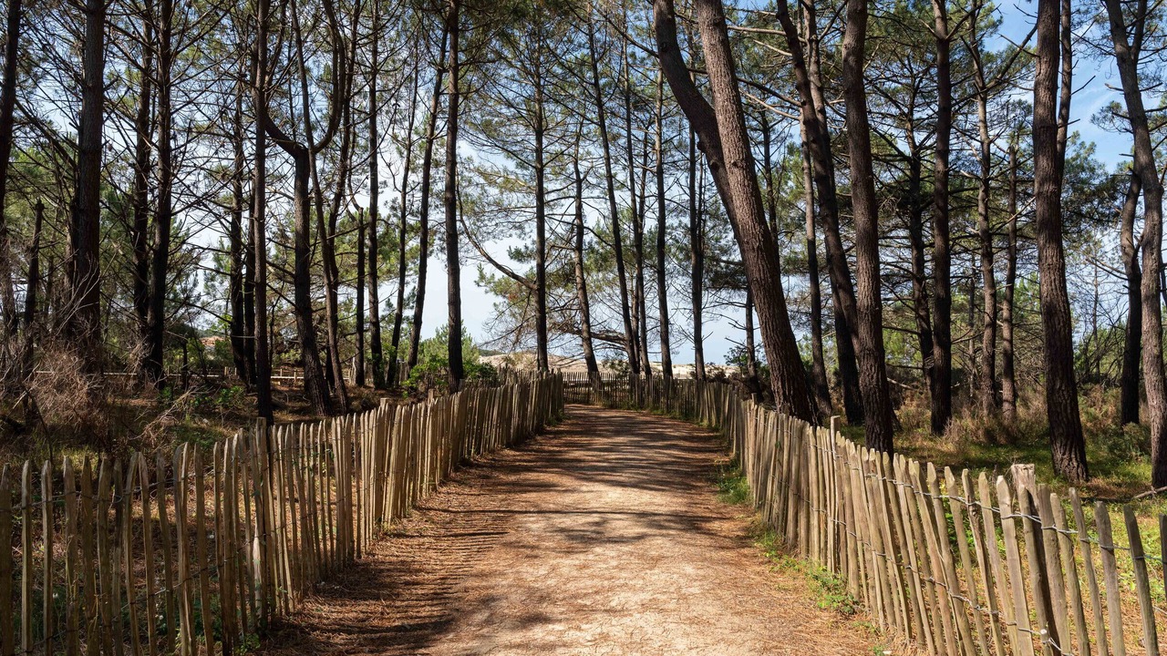 Photo of Others in Biscarrosse Plage