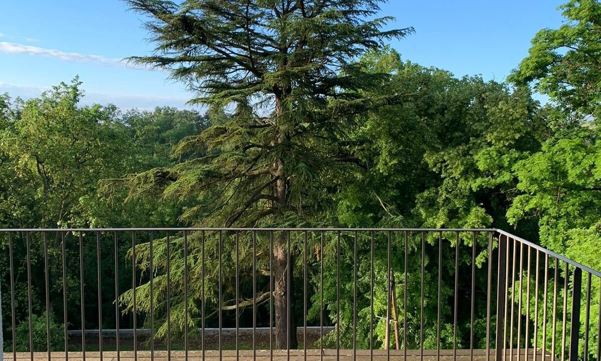 Photo of Outdoor in Larnage