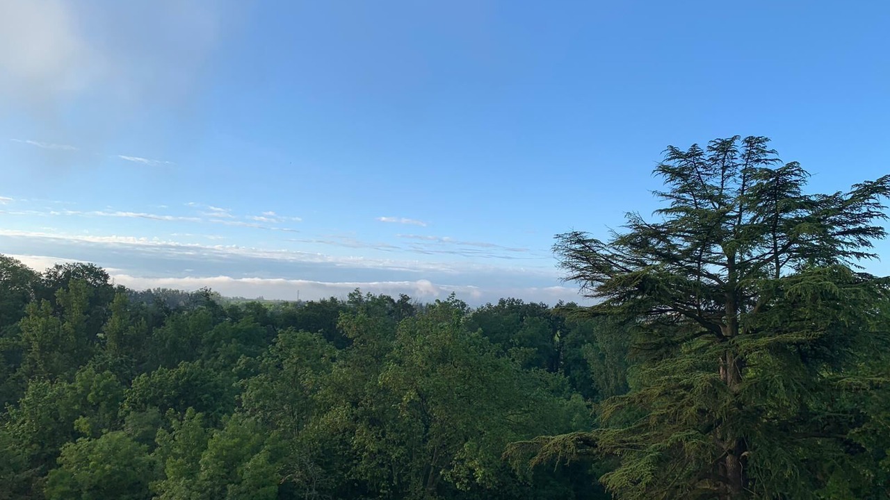 Photo of Others in Larnage