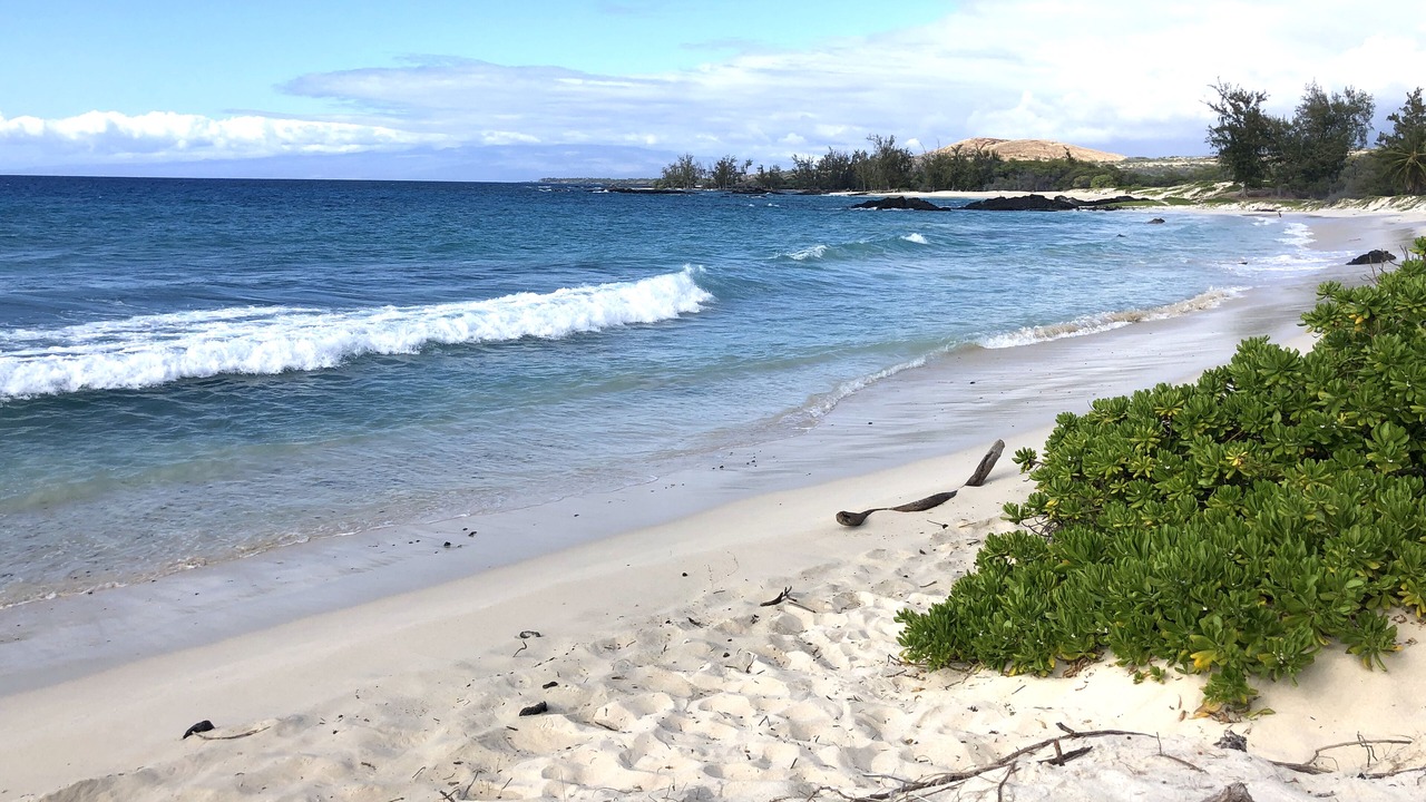 Photo of Others in Kailua-Kona