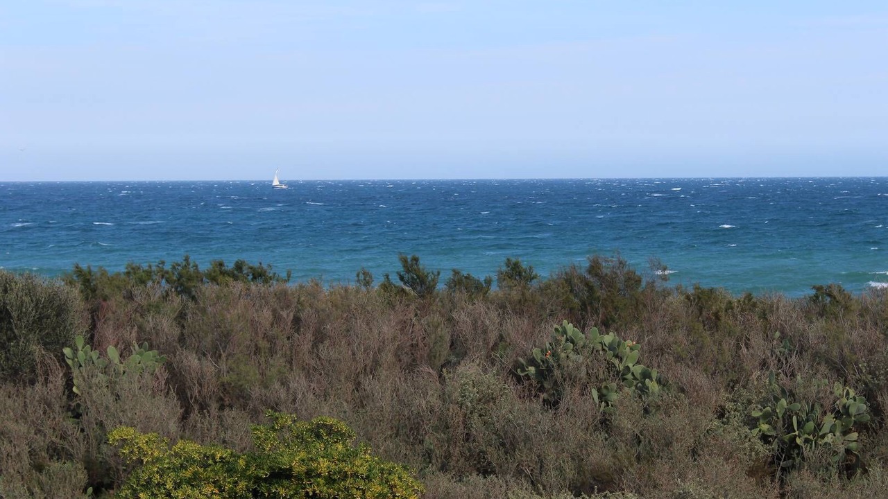 Photo of Others in Saint-Cyprien Plage