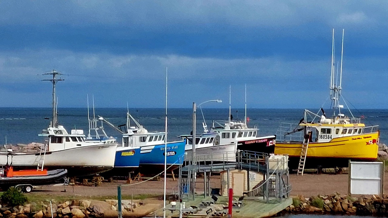 Photo of Others in Cheticamp